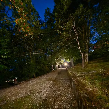 I Due Alberi